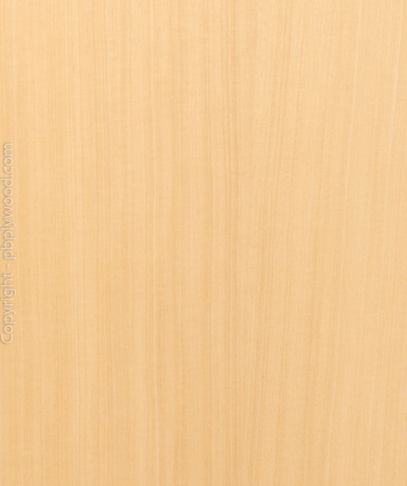 Satinwood Veneered Birch Plywood - Peter Benson Plywood Ltd